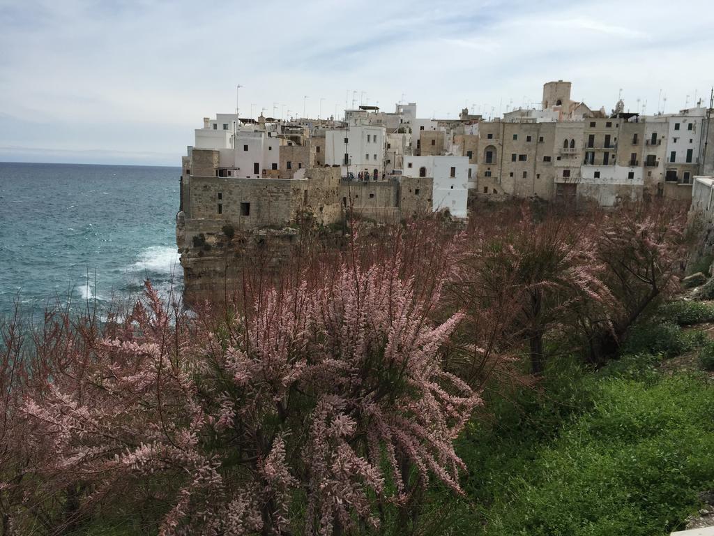 La Casetta 19 Polignano a Mare Zimmer foto
